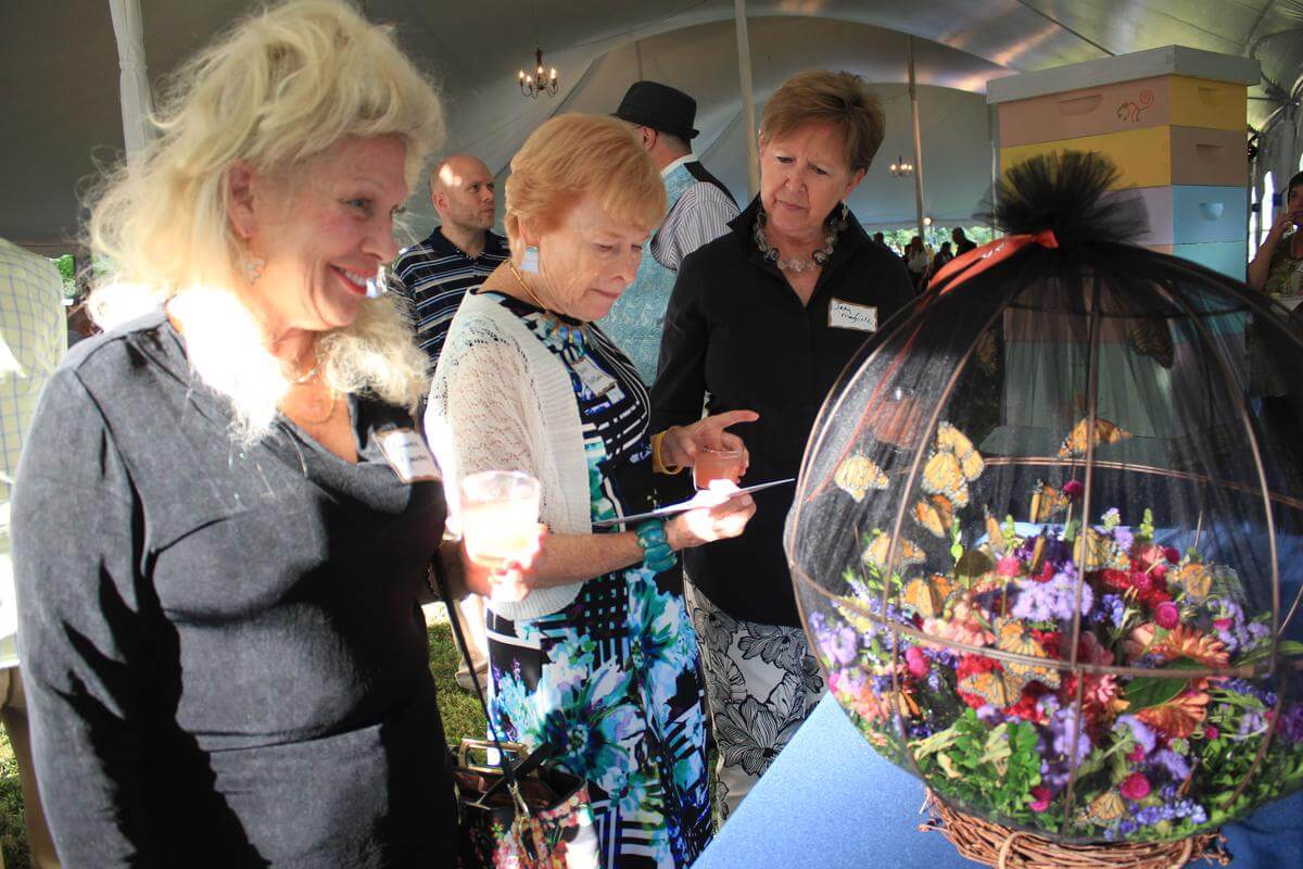 Cocktails on the Lawn Photos Cave Hill Heritage Foundation